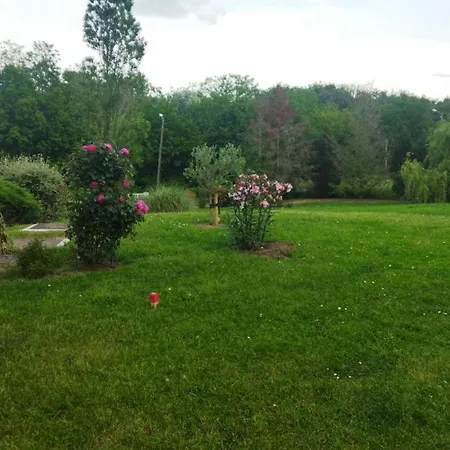 Séjour chez l'habitant Avec Entree Independante Dans Un Ecrin De Verdure Dommartin (Rhone)
